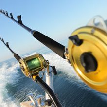 Fishing Guide Lake Somerville TX